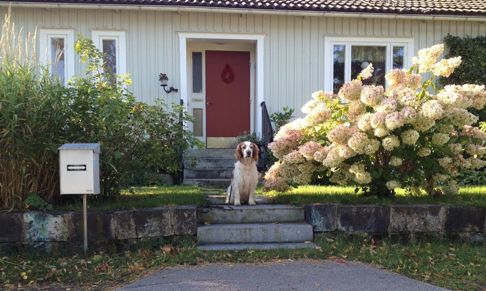 Tant Groen B&B Falun Extérieur photo
